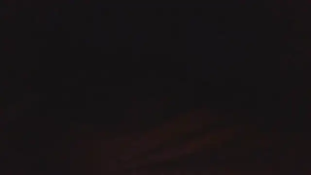 SHARPSkinheadn Webbikameraesitys
