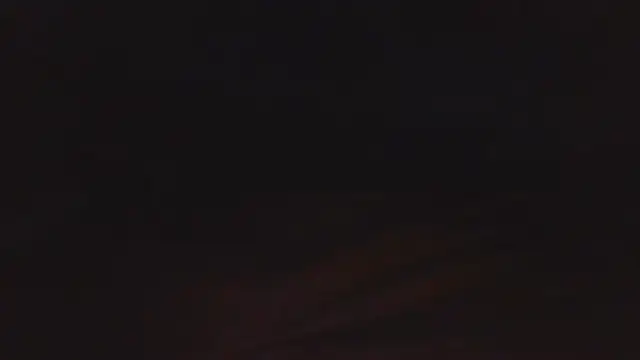 SHARPSkinhead Webcam-Show