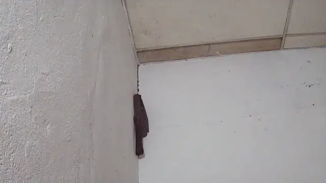 XXX chat uživo modela Noscay
