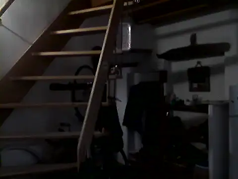 MonKeeees' Live XXX Chat