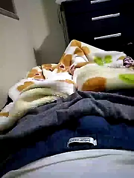 Show de webcam de Gallanttrox