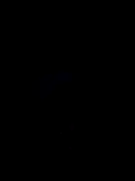 morenogostoso29 – Kamerová šou