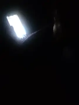 Rosmaculiona32 Live XXX Chat