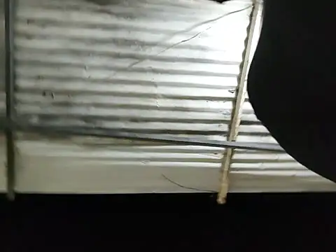 PIGHIGHDIRTY_p0 live XXX chat