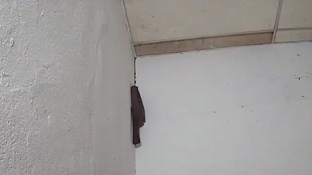 Noscay 웹캠 쇼