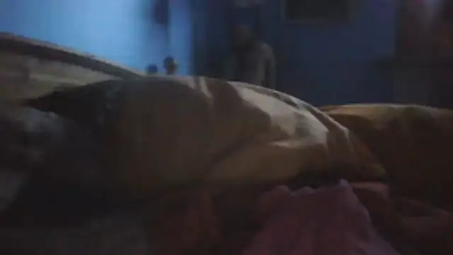 SHARPSkinheadn Webbikameraesitys