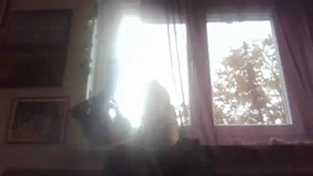 SHARPSkinhead Live XXX-Chat