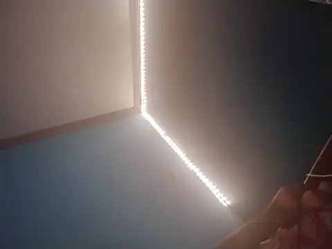 ReallyReallyReal লাইভ XXX চ্যাট