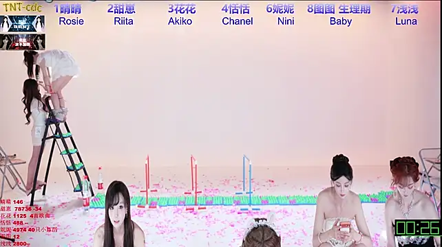 TNT-cdc 即時 XXX 聊天
