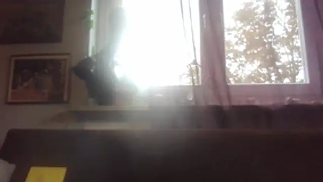 Chat XXX Live SHARPSkinhead