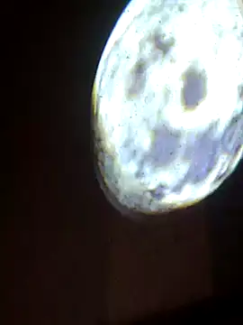 Leocesar37's Webcam Show