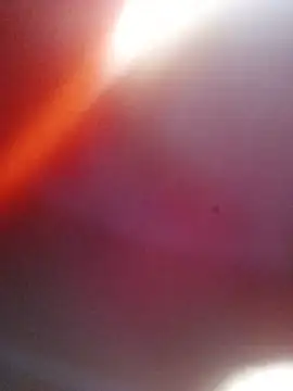 Milabri Live XXX-chat
