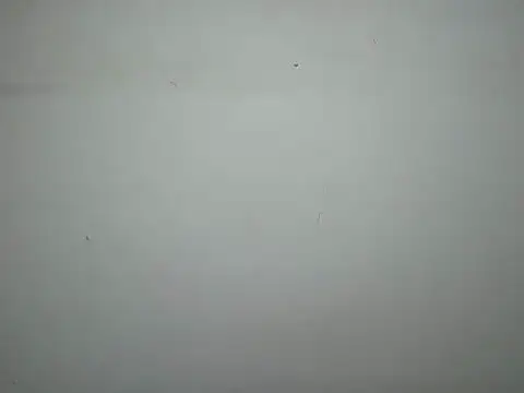Milcy XXX чат на живо