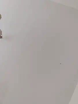 ThomasNackt Webcam-Show