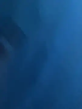 gonzvles 网络视讯表演