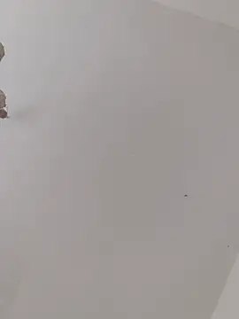 ThomasNackt Webcam-Show