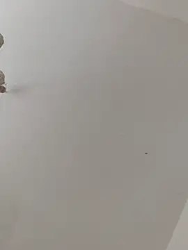 Webkamerová show ThomasNackt