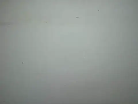 Milcy Chat XXX live