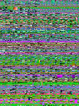 A0A0-A0 라이브 XXX 채팅