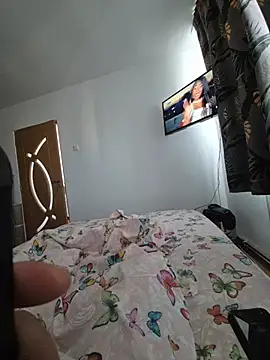 TirelessLot3 webcam show