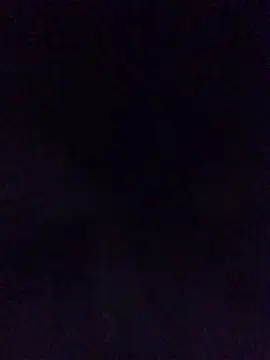 FleckedAlbum 网络视讯表演