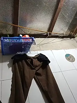 Sana-vn Live XXX Chat