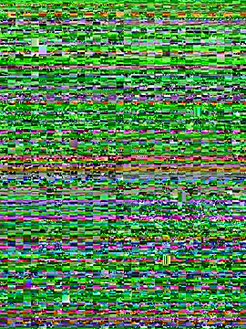 V_xs' Live XXX Chat