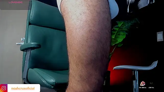 Show Webcam de noahcrux_