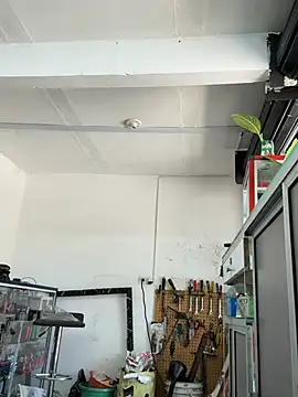 Paul22cm- – Naživo XXX chat