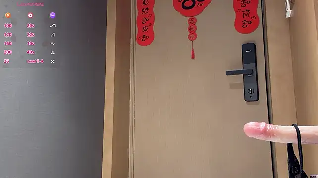 AYW-21 网络视讯表演