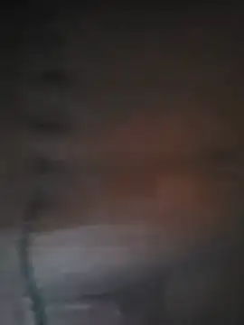 Show webcam de gustlgail