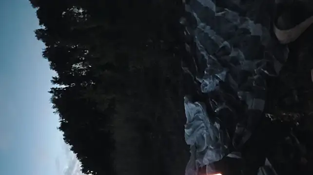 Chat XXX Live Vuitton