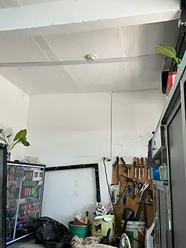 Chat +18 de Paul22cm- ao vivo