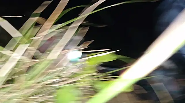 VuittonのライブXXXチャット