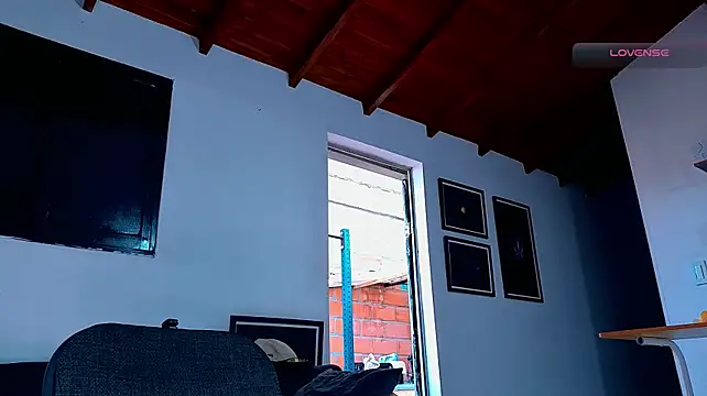 SilvaBrankon Webbikameraesitys