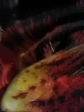 yoahotpetrafiery's Live XXX Chat