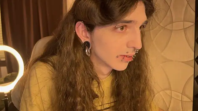Show webcam de Kriisp