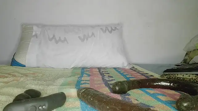 canarito18's Live XXX Chat