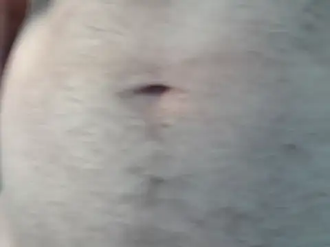 Chat XXX ao vivo de Keen_wild