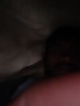 Show Webcam de nickB999