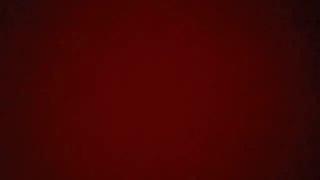 MissVegas Webcam-Show