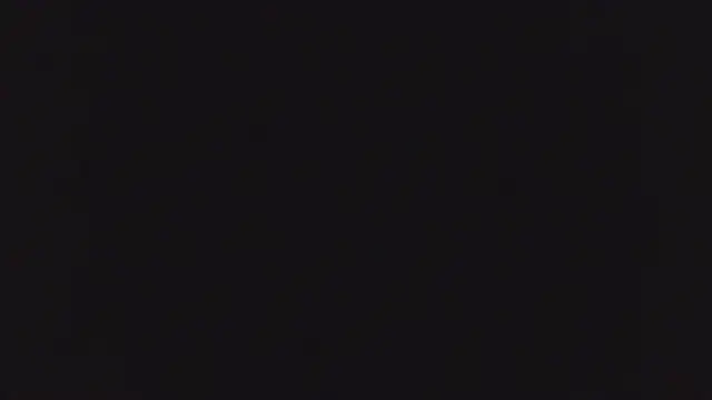 Show webcam de SHARPSkinhead