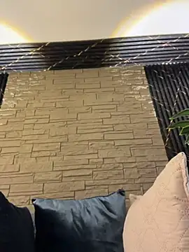 Lander_Cruz Pertunjukan Webcam