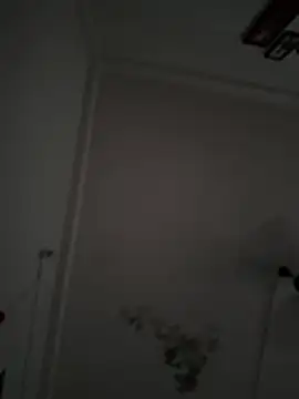 mmsboy321 Webcam-Show