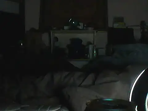 Show de CR3M3_FIR3 na webcam