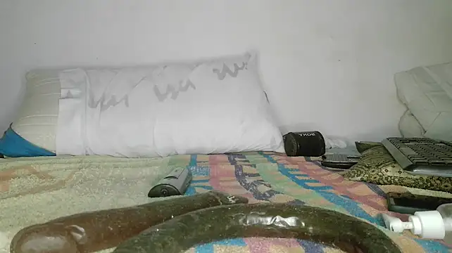 canarito18 live XXX chat