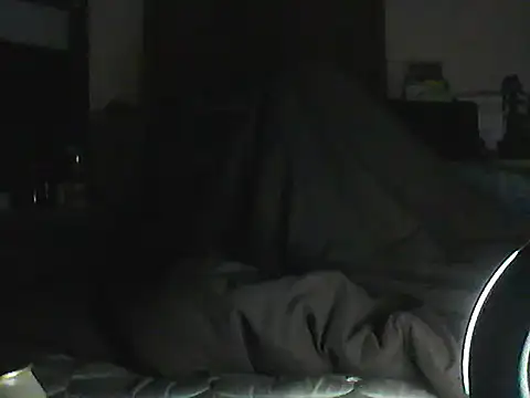 Show de CR3M3_FIR3 na webcam