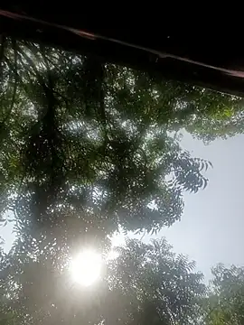 Онлайн чат XXX Rs_sonam