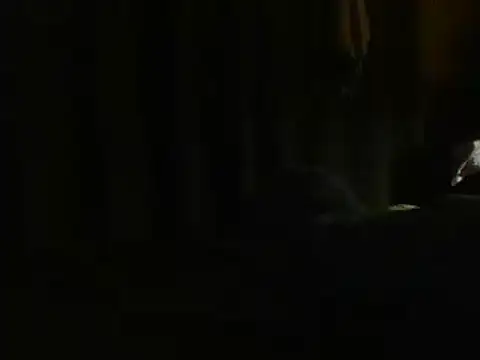 Show webcam de BonerKickstand