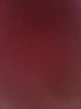 ChitChatCouple 现场XXX聊天